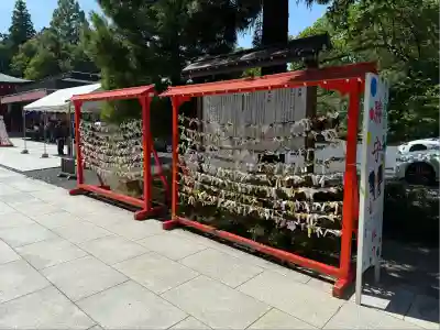 宮城縣護國神社のおみくじ