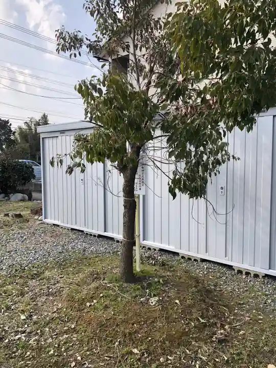 速星神社の自然