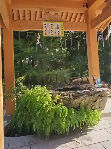 渭伊神社の手水