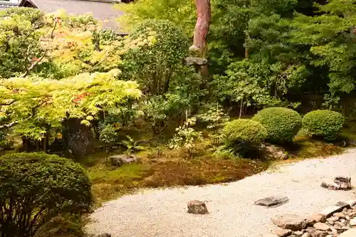 二尊院(京都府)