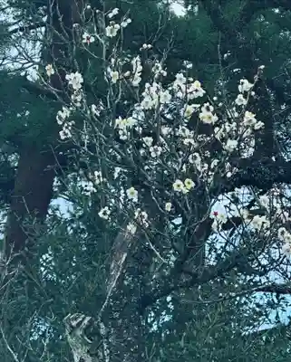 群馬県護国神社(群馬県)
