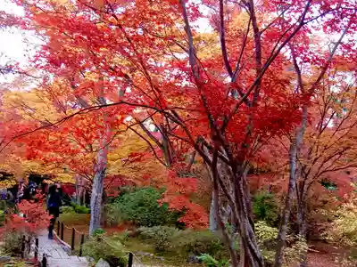 宝筐院(京都府)