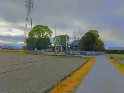 諏訪神社(今川町)の自然