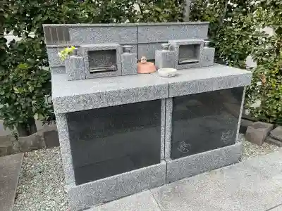 養国寺の{uncategorized: "未分類", other: "その他", undefined: "問題あり", building: "その他建物", grave: "お墓", sacred_gate: "鳥居", guardian: "狛犬", statue: "像", buddha: "仏像", history: "歴史", nature: "自然", garden: "庭園", animal: "動物", pagoda: "塔", temizu: "手水舎", mountain_gate: "山門・神門", sanctuary: "本殿・本堂", subordinate: "末社・摂社", art: "芸術", scenery: "景色", jizo: "地蔵", ema: "絵馬", goshuin: "御朱印", omikuji: "おみくじ", items: "授与品その他", amulet: "お守り", goshuincho: "御朱印帳", eats: "食事", festival: "お祭り", votive_dance: "神楽", shichigosan: "七五三参", wedding: "結婚式", experience: "体験その他", initially: "初詣", around: "周辺", anti_infection: "感染症対策"}