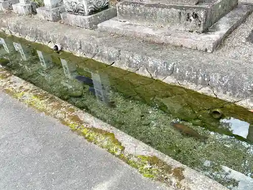 玉緒神社(滋賀県)
