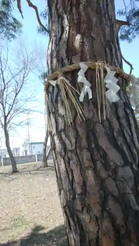 神居神社遥拝所の自然