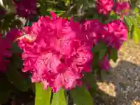 木舟山 順教寺(広島県)