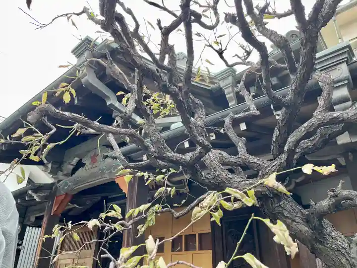 躰仙院(東京都)