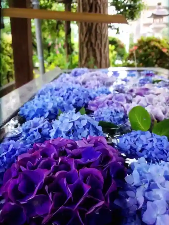 桜神宮(東京都)