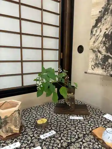達磨堂 円福寺 (京都府)