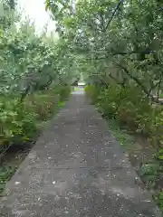 石堂寺の建物その他