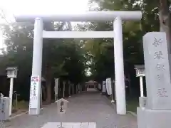 新琴似神社の鳥居