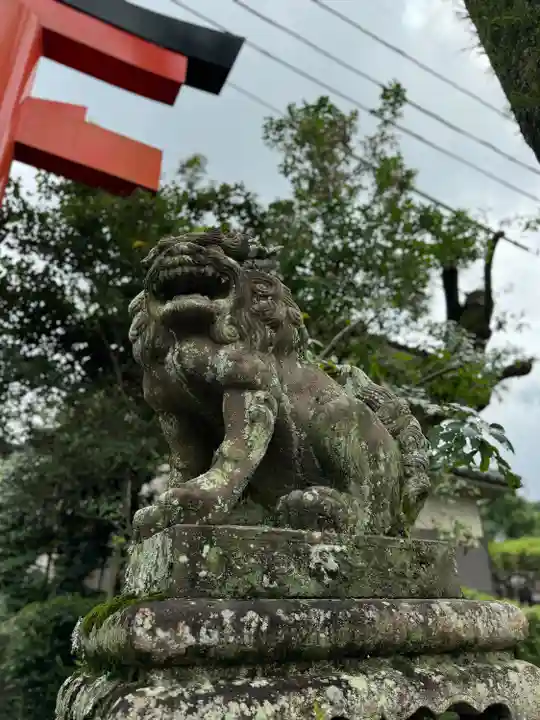 宇治神社の狛犬