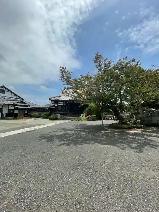 本興寺の{uncategorized: "未分類", other: "その他", undefined: "問題あり", building: "その他建物", grave: "お墓", sacred_gate: "鳥居", guardian: "狛犬", statue: "像", buddha: "仏像", history: "歴史", nature: "自然", garden: "庭園", animal: "動物", pagoda: "塔", temizu: "手水舎", mountain_gate: "山門・神門", sanctuary: "本殿・本堂", subordinate: "末社・摂社", art: "芸術", scenery: "景色", jizo: "地蔵", ema: "絵馬", goshuin: "御朱印", omikuji: "おみくじ", items: "授与品その他", amulet: "お守り", goshuincho: "御朱印帳", eats: "食事", festival: "お祭り", votive_dance: "神楽", shichigosan: "七五三参", wedding: "結婚式", experience: "体験その他", initially: "初詣", around: "周辺", anti_infection: "感染症対策"}