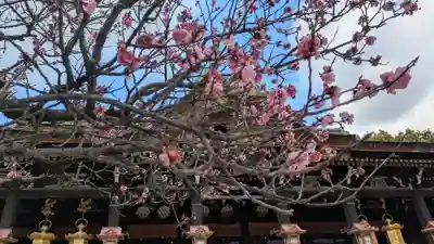 北野天満宮(京都府)