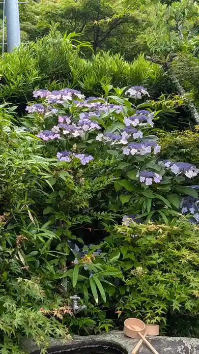 乗願寺(京都府)