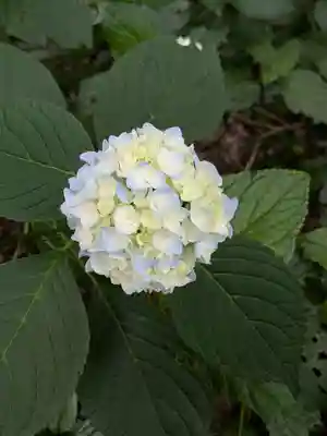 大宝八幡宮(茨城県)