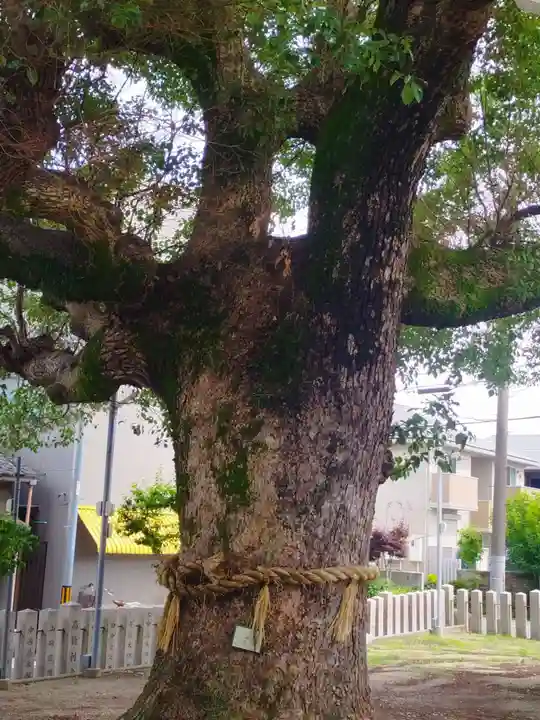 産須那神社(大阪府)