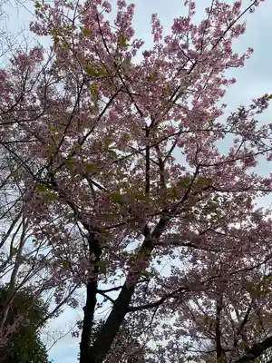 常泉寺(神奈川県)