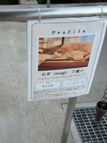 駒込妙義神社の{uncategorized: "未分類", other: "その他", undefined: "問題あり", building: "その他建物", grave: "お墓", sacred_gate: "鳥居", guardian: "狛犬", statue: "像", buddha: "仏像", history: "歴史", nature: "自然", garden: "庭園", animal: "動物", pagoda: "塔", temizu: "手水舎", mountain_gate: "山門・神門", sanctuary: "本殿・本堂", subordinate: "末社・摂社", art: "芸術", scenery: "景色", jizo: "地蔵", ema: "絵馬", goshuin: "御朱印", omikuji: "おみくじ", items: "授与品その他", amulet: "お守り", goshuincho: "御朱印帳", eats: "食事", festival: "お祭り", votive_dance: "神楽", shichigosan: "七五三参", wedding: "結婚式", experience: "体験その他", initially: "初詣", around: "周辺", anti_infection: "感染症対策"}