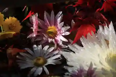 豊景神社の手水舎