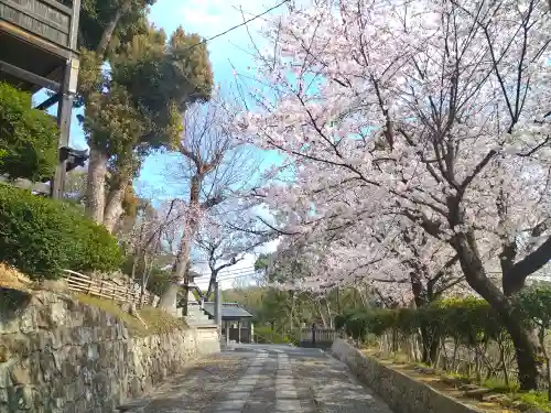 阿智神社の景色