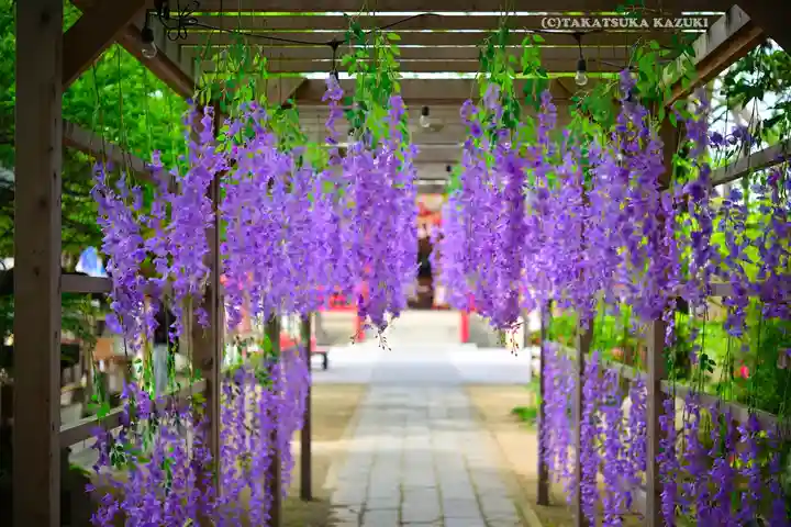 越谷香取神社(埼玉県)