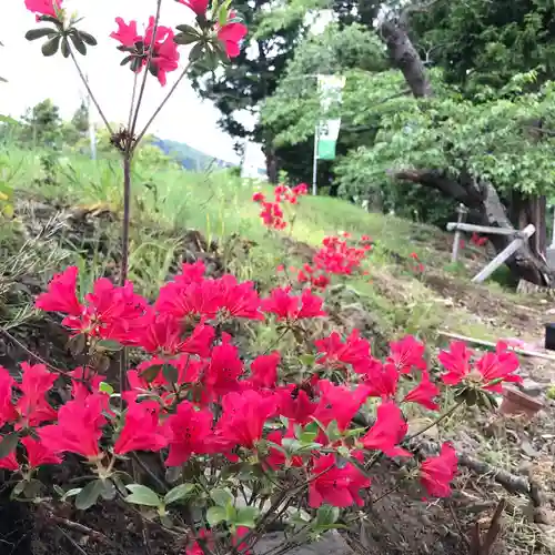 高司神社〜むすびの神の鎮まる社〜の自然