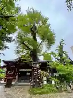 素盞雄神社の{uncategorized: "未分類", other: "その他", undefined: "問題あり", building: "その他建物", grave: "お墓", sacred_gate: "鳥居", guardian: "狛犬", statue: "像", buddha: "仏像", history: "歴史", nature: "自然", garden: "庭園", animal: "動物", pagoda: "塔", temizu: "手水舎", mountain_gate: "山門・神門", sanctuary: "本殿・本堂", subordinate: "末社・摂社", art: "芸術", scenery: "景色", jizo: "地蔵", ema: "絵馬", goshuin: "御朱印", omikuji: "おみくじ", items: "授与品その他", amulet: "お守り", goshuincho: "御朱印帳", eats: "食事", festival: "お祭り", votive_dance: "神楽", shichigosan: "七五三参", wedding: "結婚式", experience: "体験その他", initially: "初詣", around: "周辺", anti_infection: "感染症対策"}