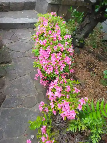 本慶寺(神奈川県)