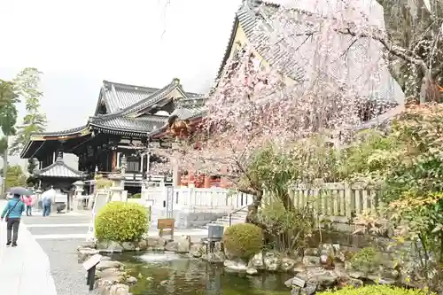 久遠寺(山梨県)