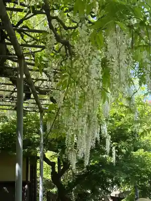 英勝寺(神奈川県)