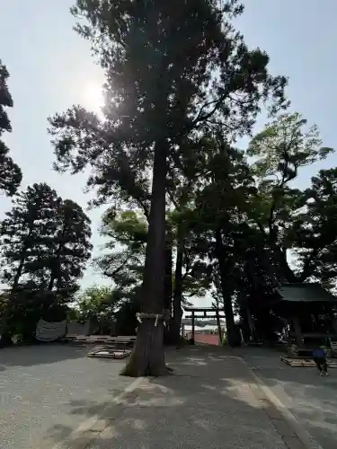 比々多神社(神奈川県)