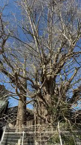 乳保神社(徳島県)
