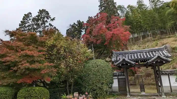 三鈷寺(京都府)