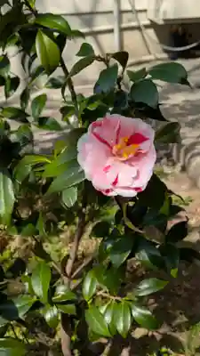 宝蔵寺(京都府)