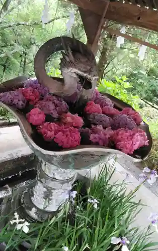 宮地嶽神社の手水舎