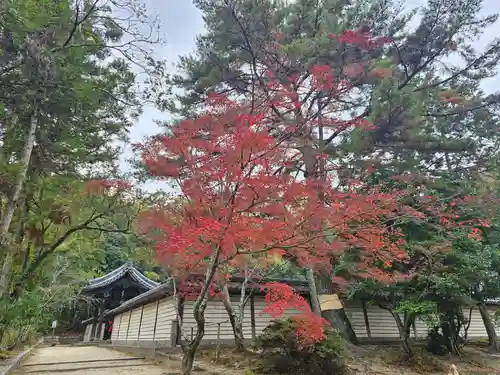 唐招提寺(奈良県)