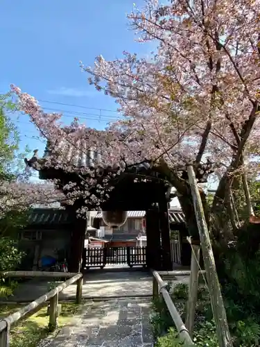 木食寺安祥院の山門