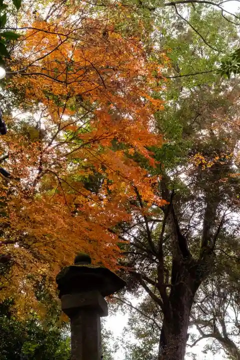 宇佐神宮(大分県)