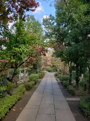 妙安寺のその他建物