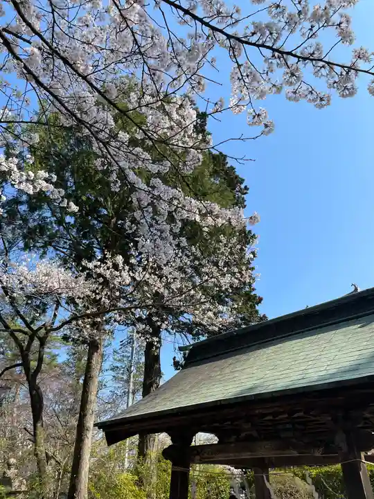 神明社の自然
