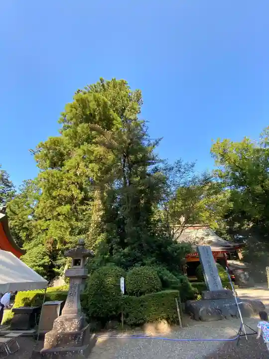 香取神宮の自然