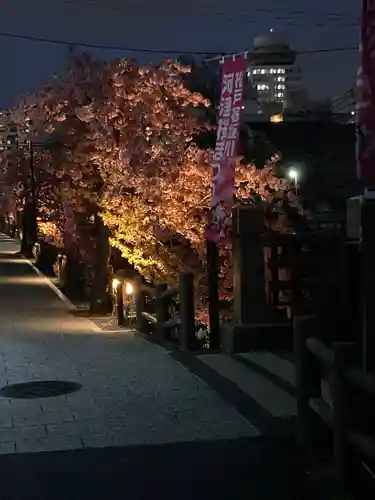 松戸神社(千葉県)