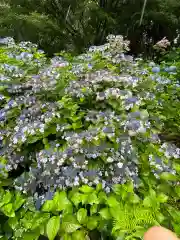 大宝八幡宮の自然