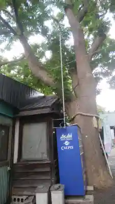 札幌諏訪神社のその他建物