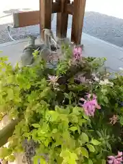 白鷺神社の手水