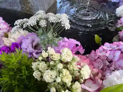 新琴似神社の手水舎