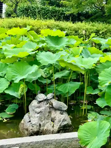 東寺（教王護国寺）(京都府)