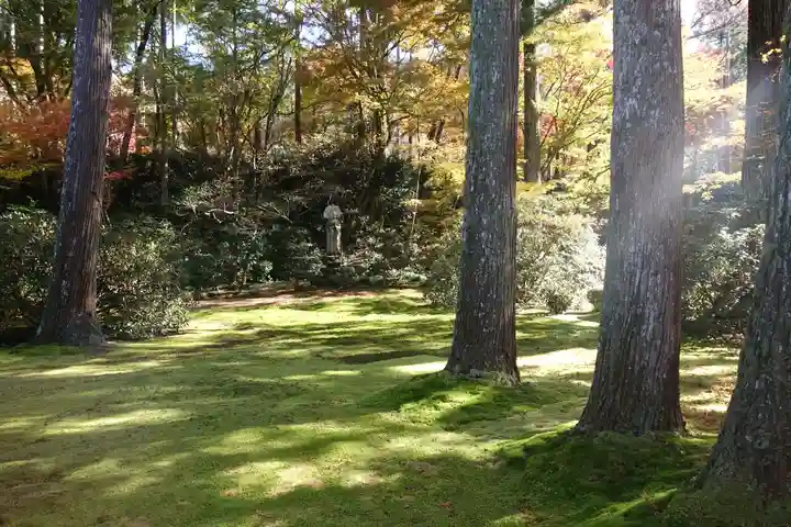 三千院門跡の庭園